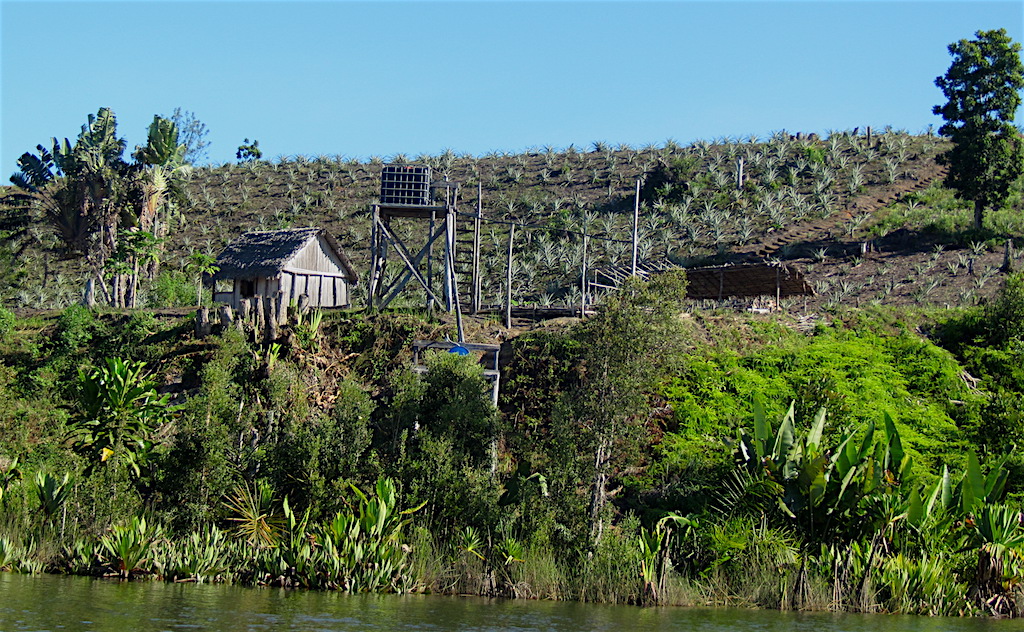 La coopérative agricole&nbsp;communautaire